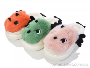 Купить Капці жіночі Шльопки Ж 501 mix Progress мікс