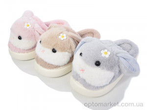 Купить Капці жіночі Шльопки Ж 5080 mix Progress мікс