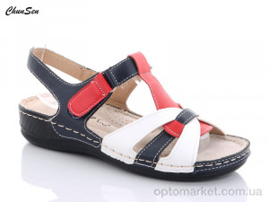 Купить Босоніжки жіночі W107-11 Chunsen білий