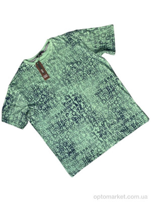 Купить Футболка чоловічі X1-2 green Verton зелений