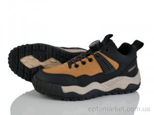 Купить Кросівки унісекс XF01-P704-4H Kimbo-o camel