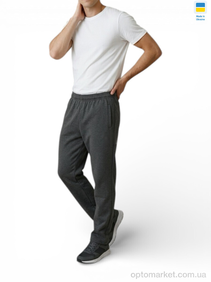 Купить Спортивні штаны чоловічі 10PU т.сірий P.ma сірий, фото 3