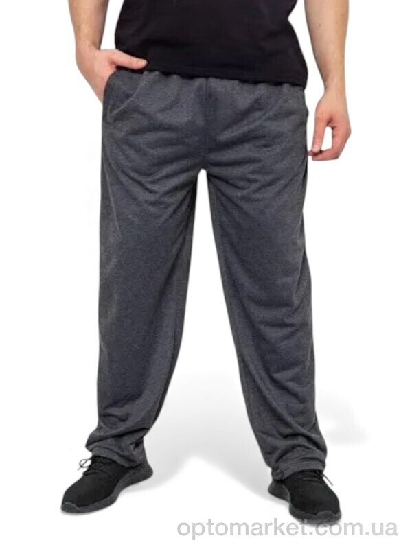 Купить Спортивні штаны чоловічі 184 сірий Riza сірий, фото 2