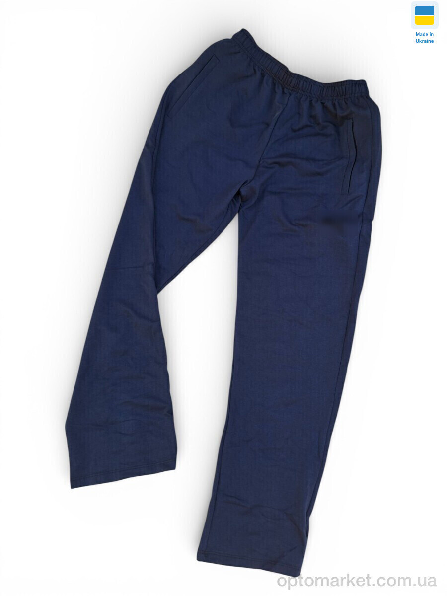 Купить Спортивні штаны чоловічі 20Pu синій P.ma синій, фото 3