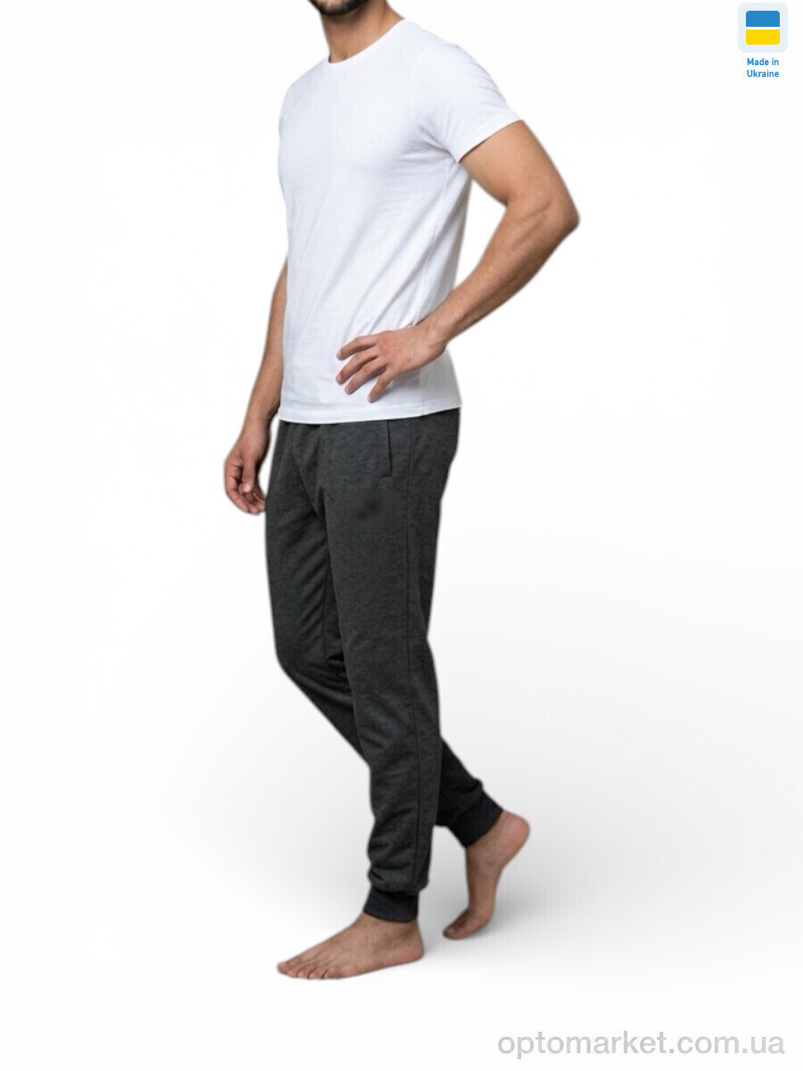 Купить Спортивні штаны чоловічі 22NI т.сірий N.ke сірий, фото 3