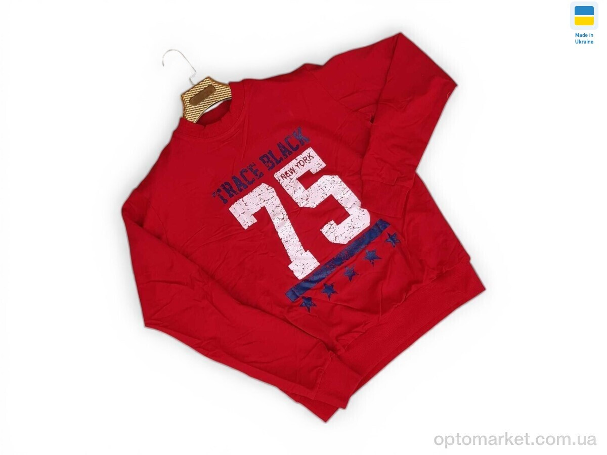 Купить Кофта чоловічі 81 червоний Sport style червоний, фото 2