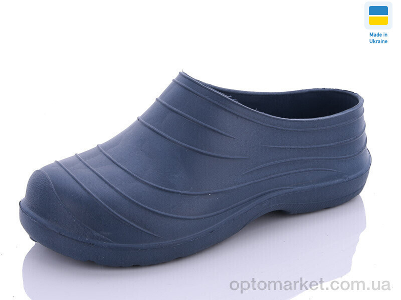 Купить Галоші жіночі Б07 синій Dago синій, фото 2