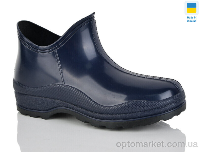 Купить Галоші жіночі БЖ4-2 стиль синій Inblue синій, фото 2