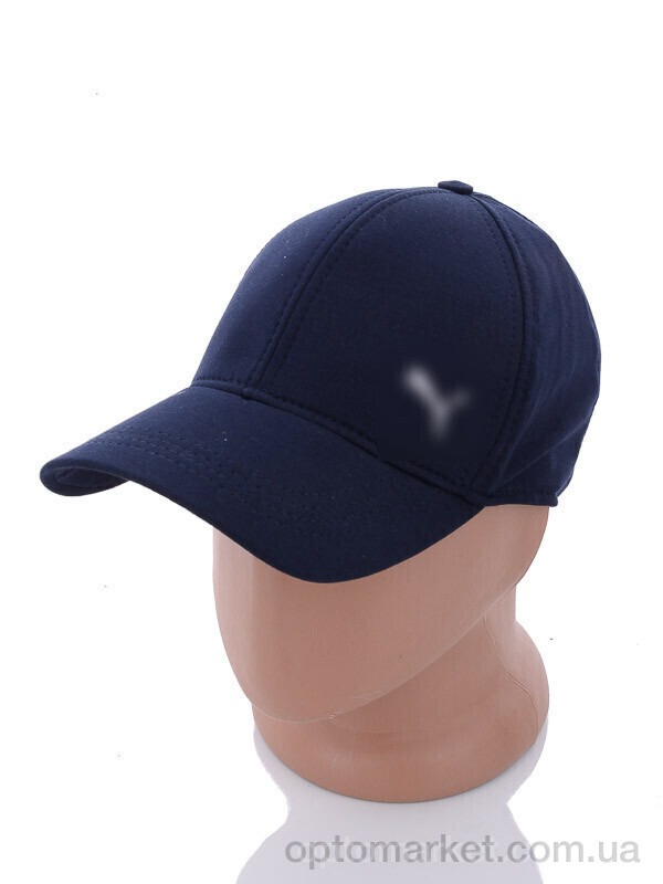 Купить Кепка чоловічі NB06-2 navy P.ma синій, фото 3