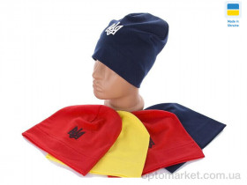 Купить Шапка чоловічі 0264 mix Mabi мікс