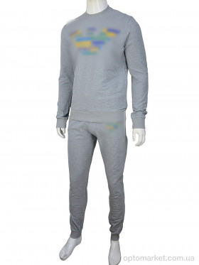 Купить Спортивний костюм чоловічі 02947 l.grey G.orgio Armani сірий