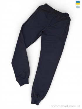 Купить Спортивні штаны чоловічі 02Pu т.синій P.ma синій