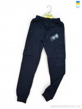 Купить Спортивні штаны чоловічі 07-1PU чорний P.ma чорний