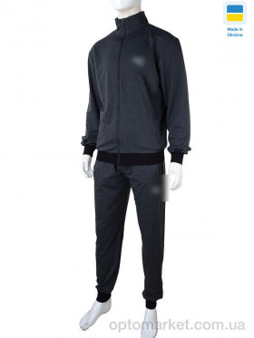 Купить Спортивний костюм чоловічі 101 grey (05907) P.ma сірий