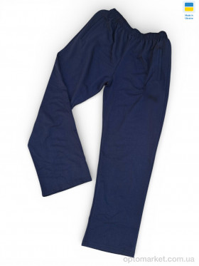 Купить Спортивні штаны чоловічі 10Pu т.синій P.ma синій