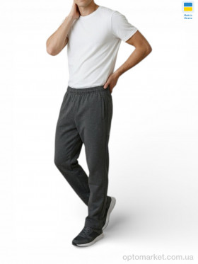 Купить Спортивні штаны чоловічі 10PU т.сірий P.ma сірий
