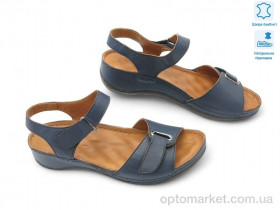 Купить Босоніжки жіночі 176558 Anna Lucci синій