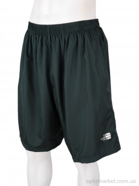 Купить Шорти чоловічі 2030 green Sport зелений