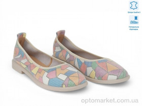 Купить Балетки жіночі 207627 ALLSY мікс