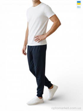 Купить Спортивні штаны чоловічі 22NI т.синій N.ke синій