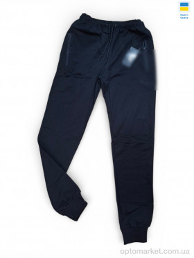 Купить Спортивні штаны чоловічі 2PU чорний P.ma чорний