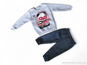 Купить Комплекти дитячі дитячі 3104 сірий реглан-штани Eymus Kids сірий