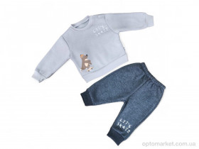 Купить Комплекти дитячі дитячі 3425 сірий реглан-штани Eymus Kids сірий