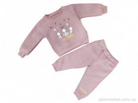 Купить Комплекти дитячі дитячі 3453 т.пудра реглан-штани Eymus Kids рожевий