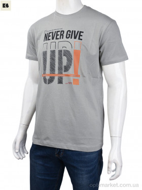 Купить Футболка чоловічі 3707-081-1 grey Daniel Jones сірий