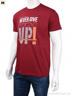 Купить Футболка чоловічі 3707-081-2 bordo Daniel Jones бордовий