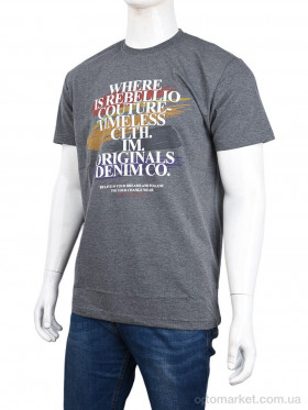 Купить Футболка чоловічі 3707-087-3 grey Daniel Jones сірий