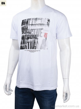 Купить Футболка чоловічі 3707-109-4 white Daniel Jones білий