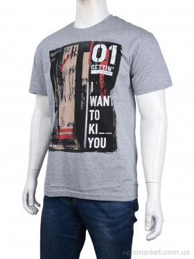 Купить Футболка чоловічі 3707-110-7 grey Daniel Jones сірий