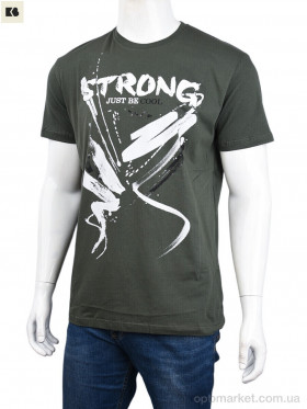 Купить Футболка чоловічі 3707-122-1 green Daniel Jones зелений