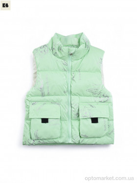 Купить Жилетка дитячі 3790-12 l.green Hao Jiekids зелений
