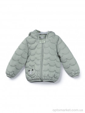 Купить Куртка дитячі 3791-8 green Hong Jiaolu зелений