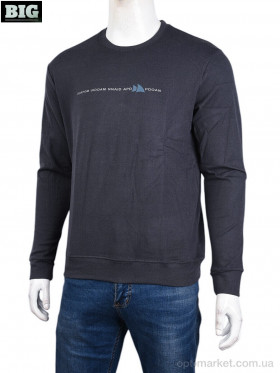 Купить Кофта чоловічі 3918-02-2 grey Ale Edition сірий