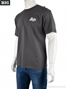 Купить Футболка чоловічі 4072-M01-3 grey Ale Edition сірий