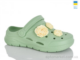 Купить Крокси жіночі 411 фісташка Dago зелений
