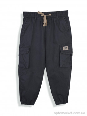 Купить Брюки дитячі 4296-BR8801-2 grey Baronjns сірий