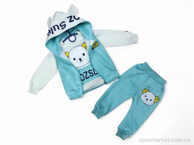 Купить Комплекти дитячі дитячі 4717 бірюзовий жилетка-реглан-штани Sport блакитний