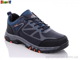 Купить Кросівки чоловічі 501-2 Magg Point синій