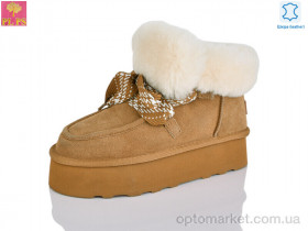 Купить Уги жіночі 5855 camel PLPS camel
