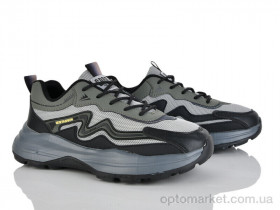 Купить Кросівки чоловічі A0065-2 Ideal Panda сірий