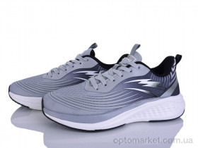 Купить Кросівки чоловічі A0073-3 Lion-Lu сірий