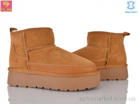 Купить Уги жіночі A3303 camel PLPS camel
