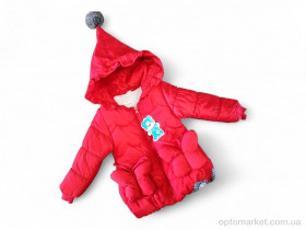 Купить Куртка дитячі F153 червоний єврозима Sport червоний