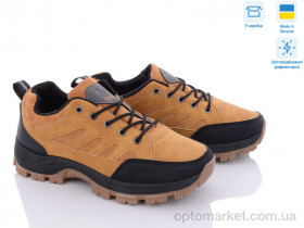 Купить Кросівки чоловічі FYB10010-4 SWIN SHOES camel