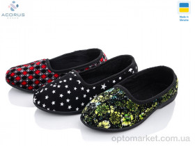 Купить Капці жіночі Киев дешев mix Acorus мікс