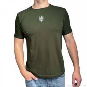 Купить Футболка чоловічі N001-3 green Leonidas зелений